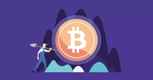 加密货币挖矿是不是假的,真相与谎言的交织