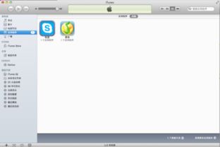 苹果电脑skype无法使用音频,苹果电脑Skype音频问题解析与解决方案