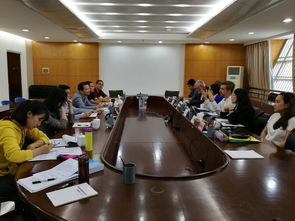 加入skype会议没有桌面演示,Skype会议的挑战与应对策略