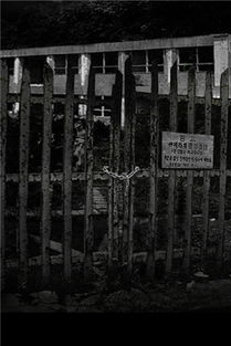 恐怖传奇被遗弃的新娘 