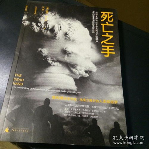 死亡之影2中文版 