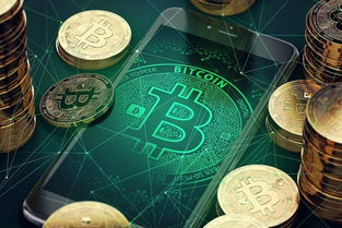 加密货币缺陷有哪些类型,解析潜在风险与挑战