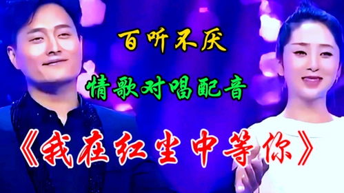 我在七年后等你手机版 