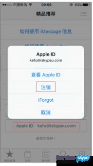 苹果商店里有没有skype,沟通无界任你行