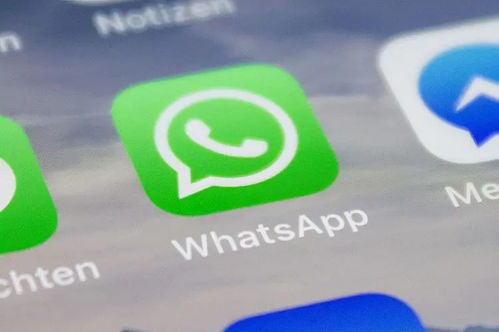 你好whatsapp注册收不到验证码,WhatsApp注册验证码收不到？揭秘解决方法