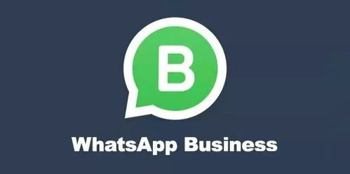 尼泊尔whatsapp区号,探索连接尼泊尔的新方式