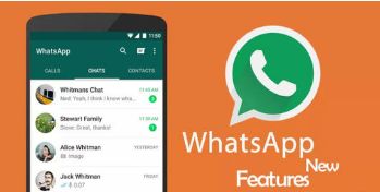 类似于WhatsApp的聊天工具,探索新型聊天工具的魅力