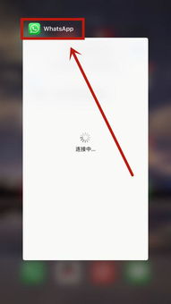 苹果whatsapp怎么退出登录,轻松退出苹果WhatsApp登录步骤解析