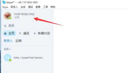 女生skype用户名,她独特SKYPE用户名背后的故事