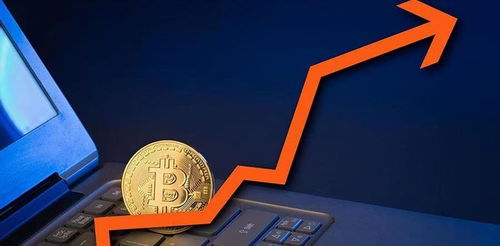 蚂蚁币以太坊,数字货币领域的双雄对决