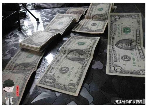 美国对加密货币的认可率,金融新纪元的曙光