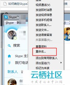 苹果 skype改名字,开启全新沟通体验