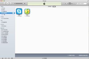 skype回国后不能用,Skype回国后无法使用的背后原因