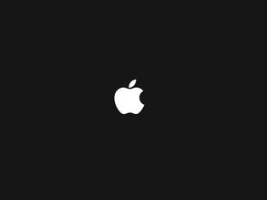 ios以太坊sdk,iOS以太坊SDK开发概述