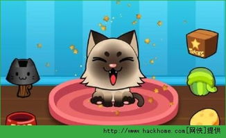 贪玩猫游戏交易最新版下载v1.1.0 