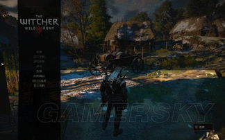 巫师3手游中文版下载 