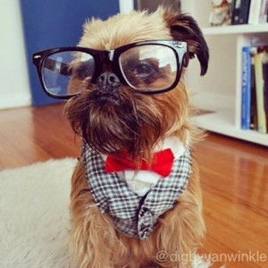 舞动公主时尚装扮游戏最新版下载2024 