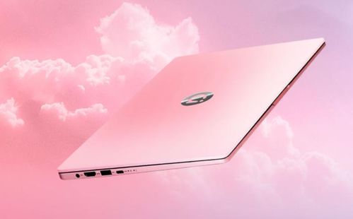 养花我最强游戏官方最新版2024下载 